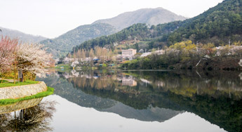 금성산산림욕장 전경