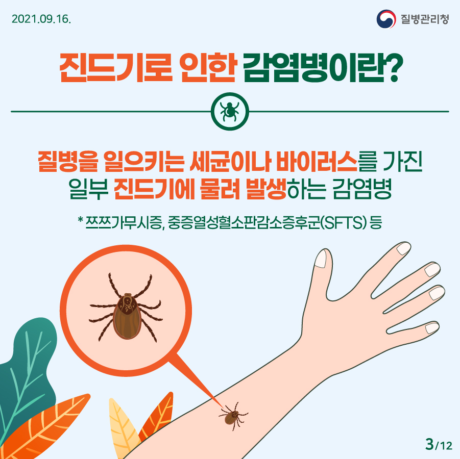 진드기로 인한 감염병이란