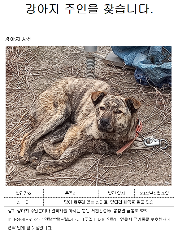 어제 현장 사무실에서 촬영한 사진 입니다.
