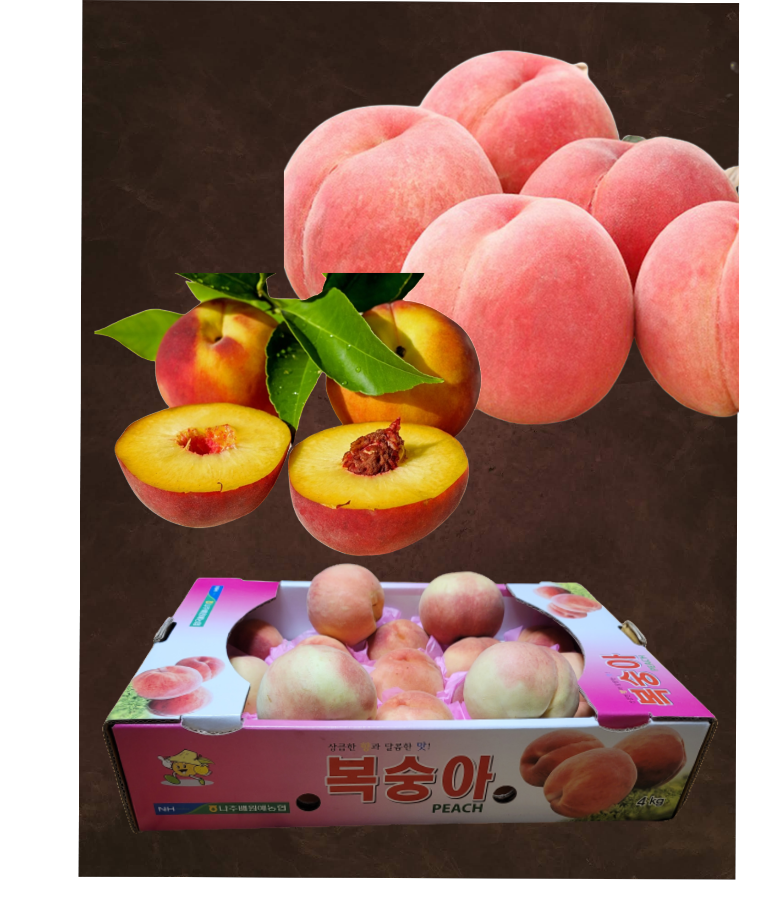복숭아 판매 사진