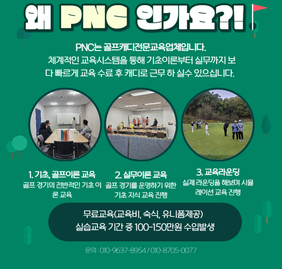 신규캐디모집