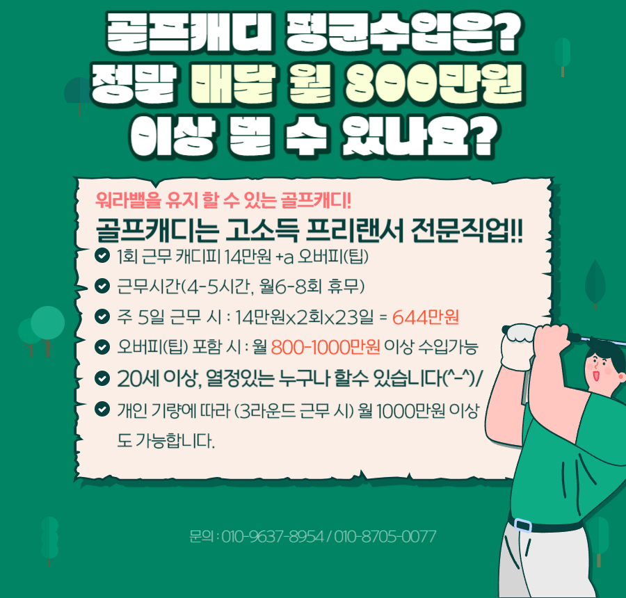 신규캐디모집