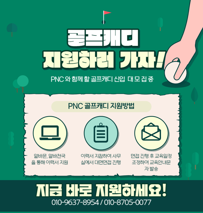 신규캐디모집