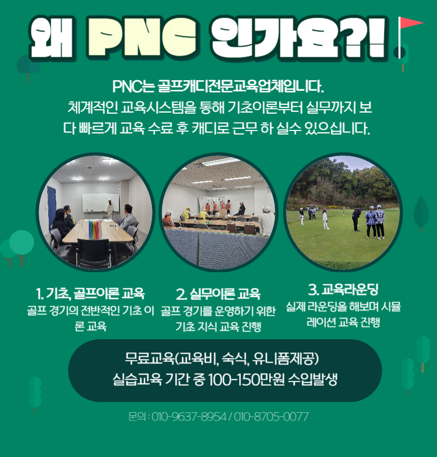 신규캐디모집