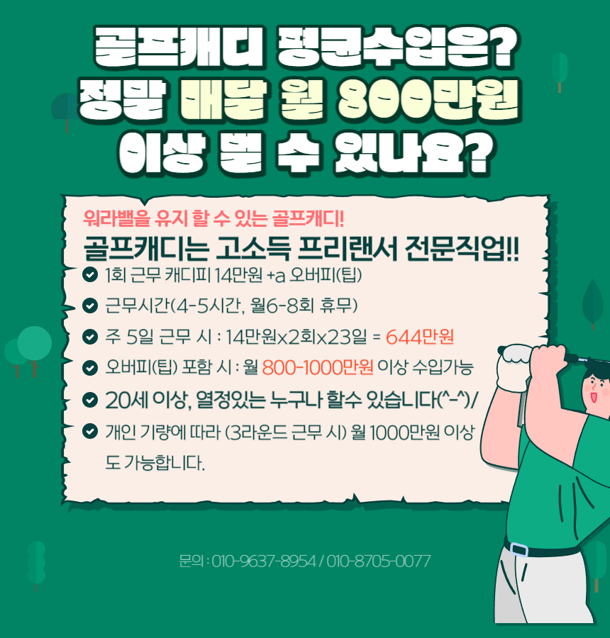신규캐디모집
