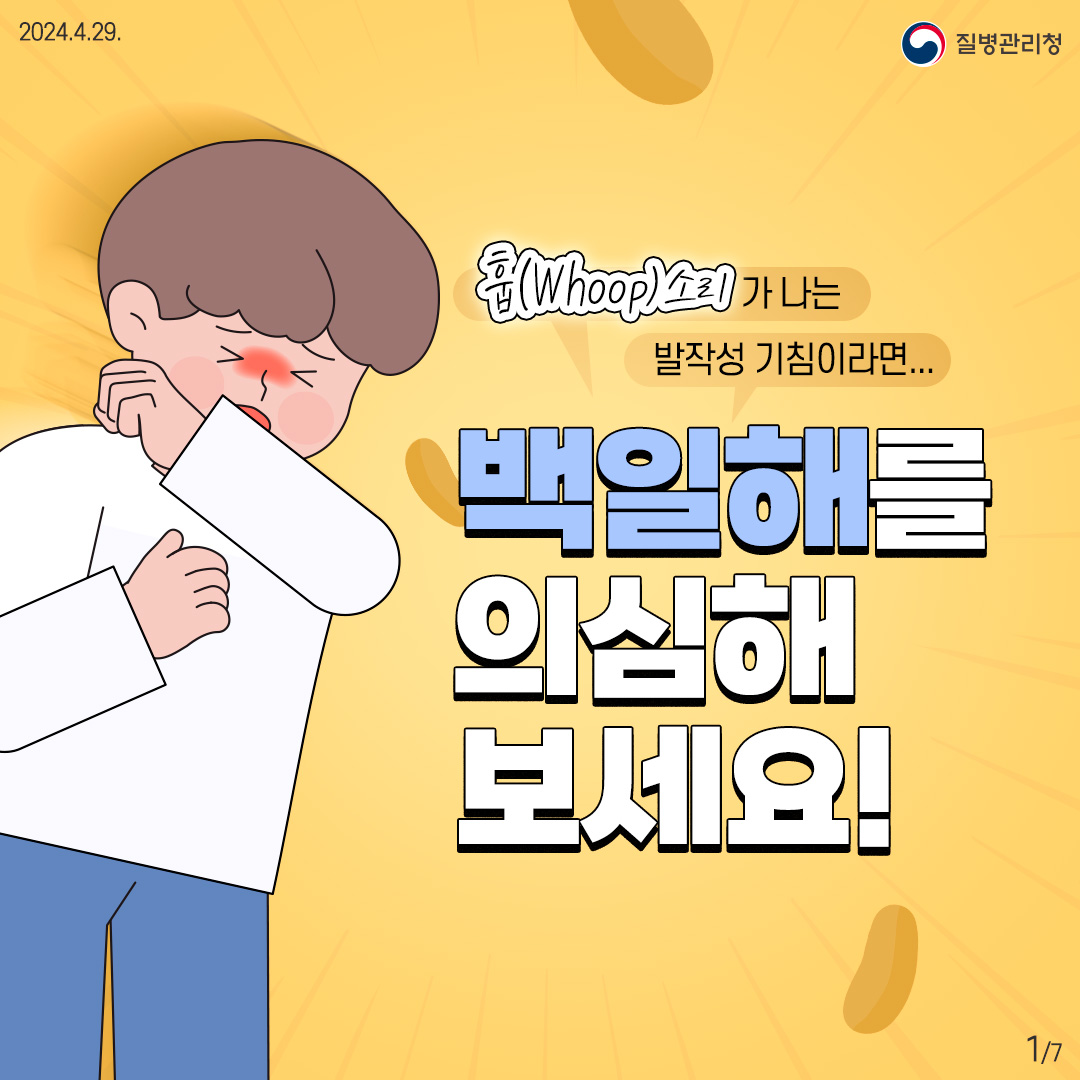 2024.4.29 질병관리청 훕( whoop)소리가 나는 발작성 기침이라면... 백일해를 의심해보세요!