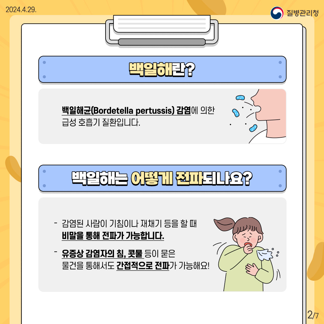2024.4.29 질병관리청 백일해란? 백일해균(Bordetella pertussis)감염에 의한 급성 호흡기 질환입니다. 백일해는 어떻게 전파되나요? 감염된 사람이 기침이나 재채기등을 할 때 비말을 통해 전파가 가능합니다. 유증상 감염자의 침, 콧물 등이 묻은 물건을 통해서도 간접적으로 전파가 가능해요!