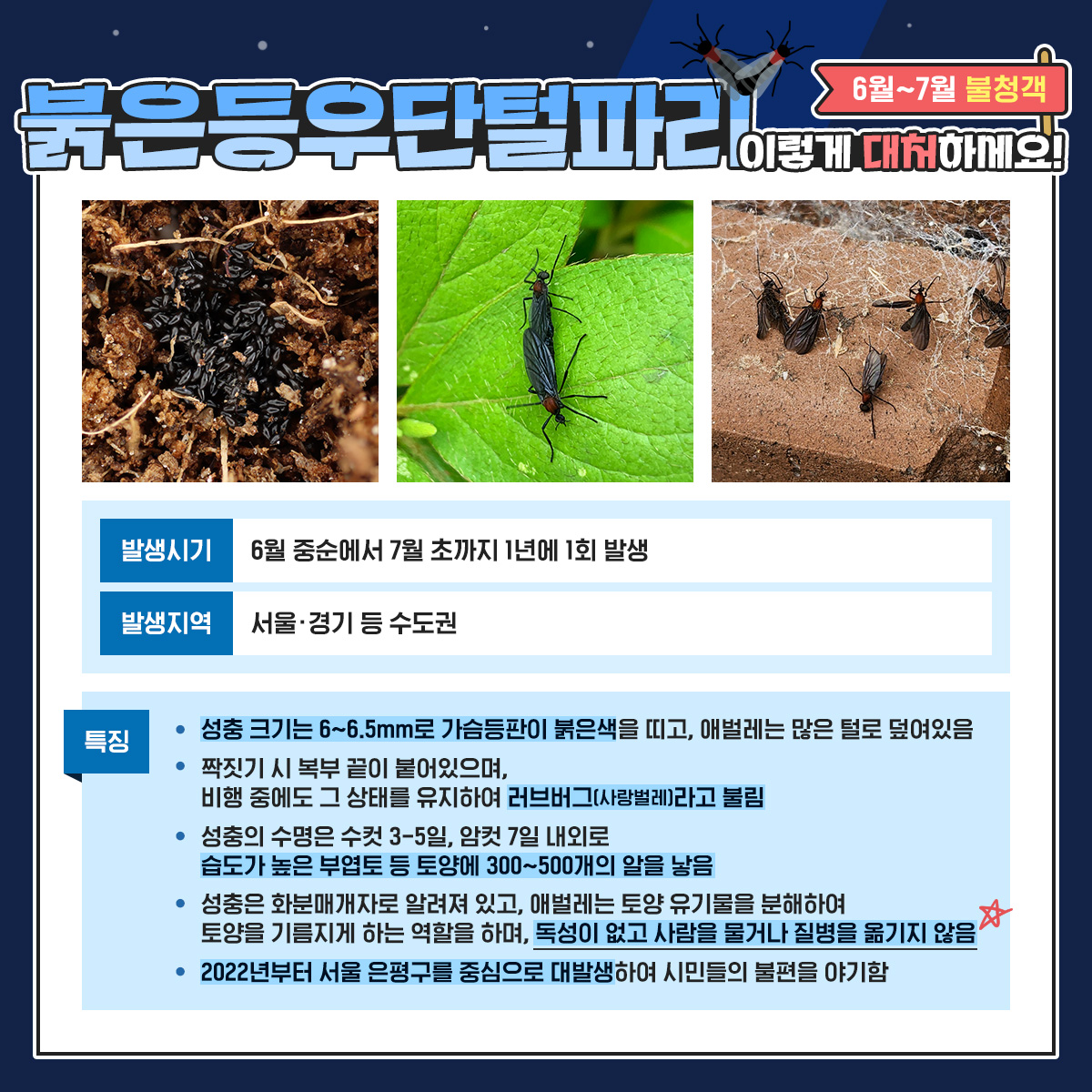 카드2