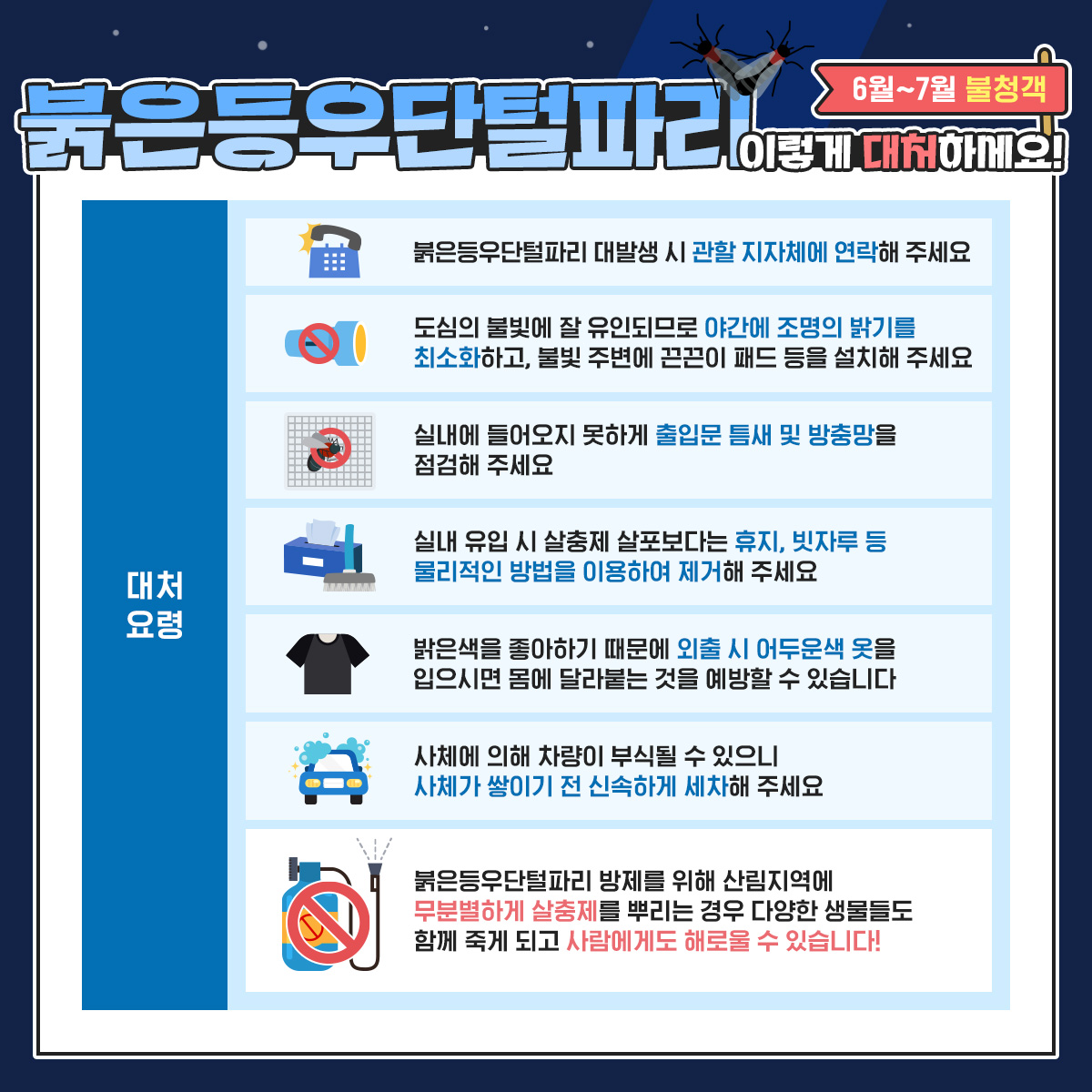 카드3